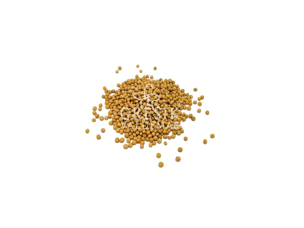 Hořčice semeno - S1