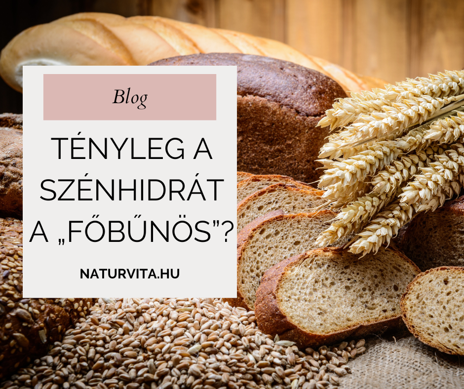 A szénhidrát az ellenség? – Tények és tévhitek a low-carb étrendről