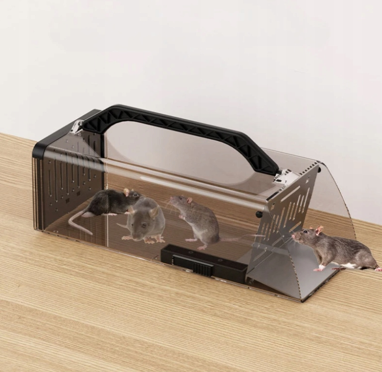 účinná past na krysy