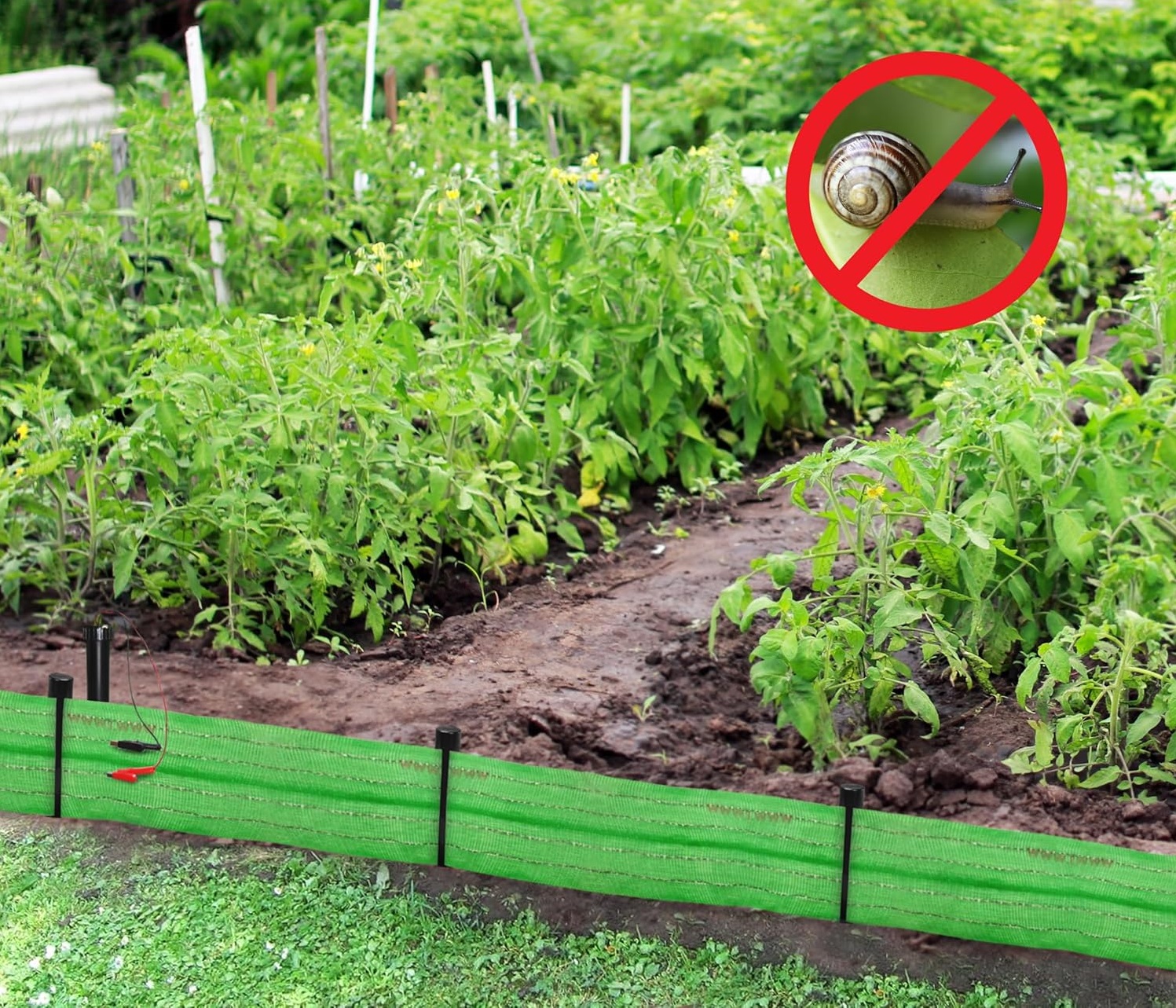 ohradník proti šnekům