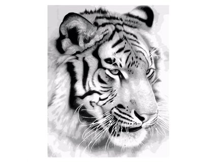 maľovanie podľa čísel - tyger12882 original 1140ac9bfdb9b9f7534b8a82c3c4fe9d jpg12882 original 1140ac9bfdb9b9f7534b8a82c3c4fe9d jpg