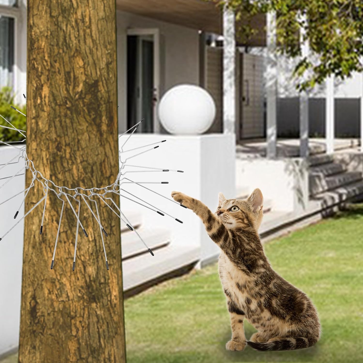 praktikus vezeték a madarak ellen