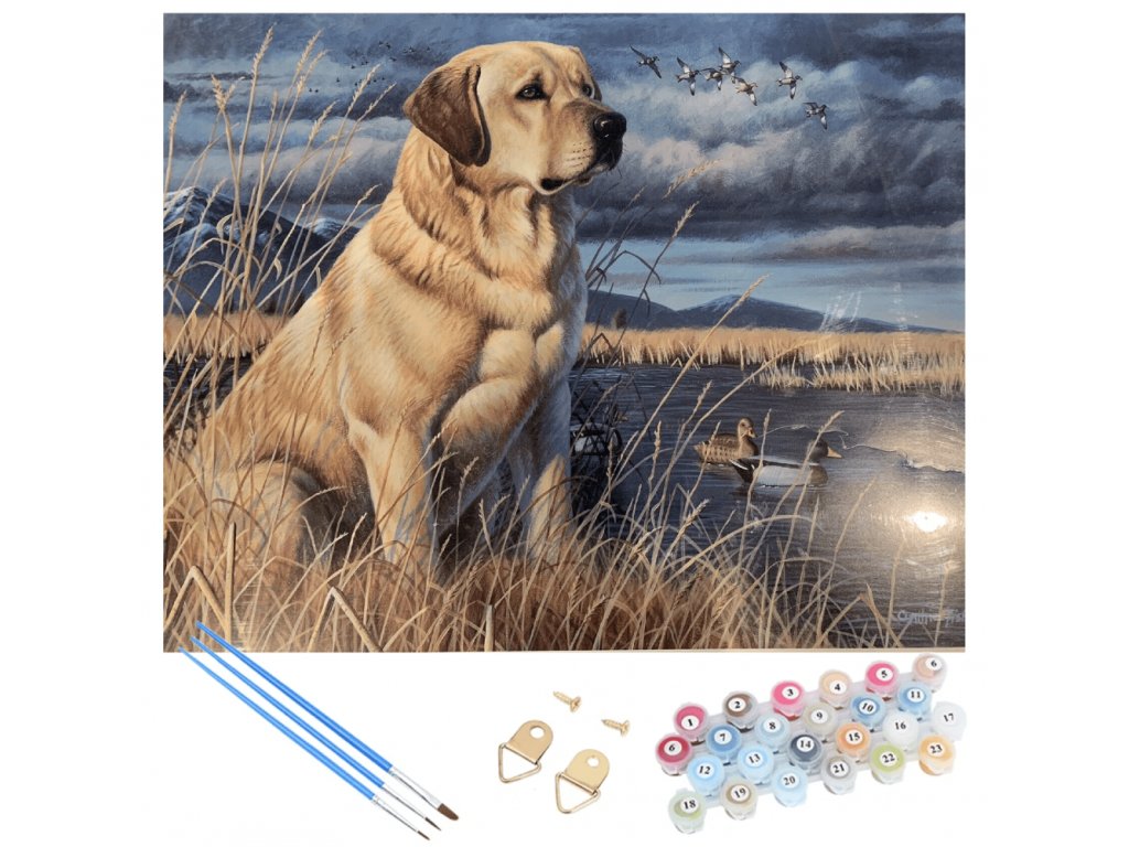 Bájos festés számok szerint - labrador