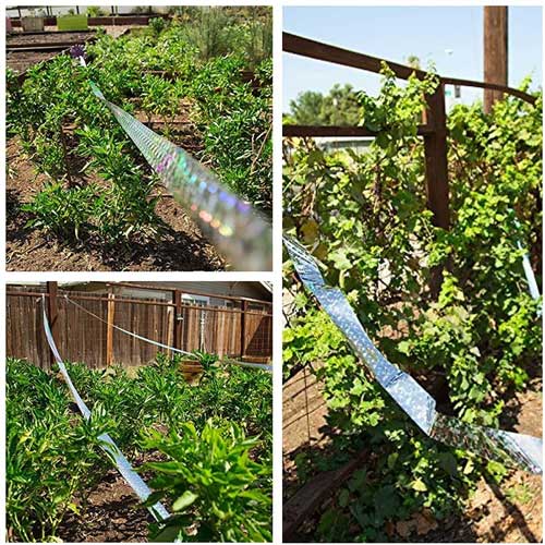 fenyvisszavero madarriaszto szalagok