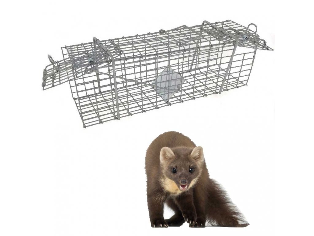 humánus csapda nyestekre