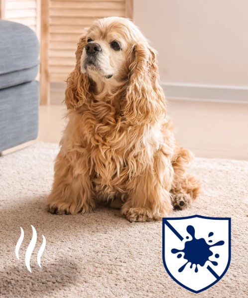 Kutya visszataszító spray,