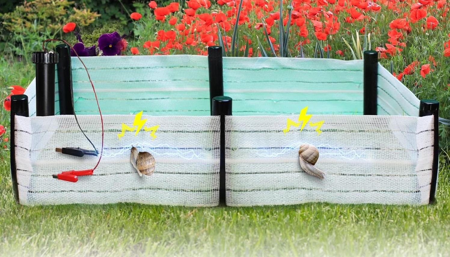 Praktikus elektromos kerítés a csigák ellen