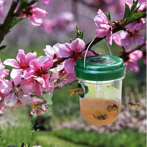 Napelemes kerti rovarcsapda