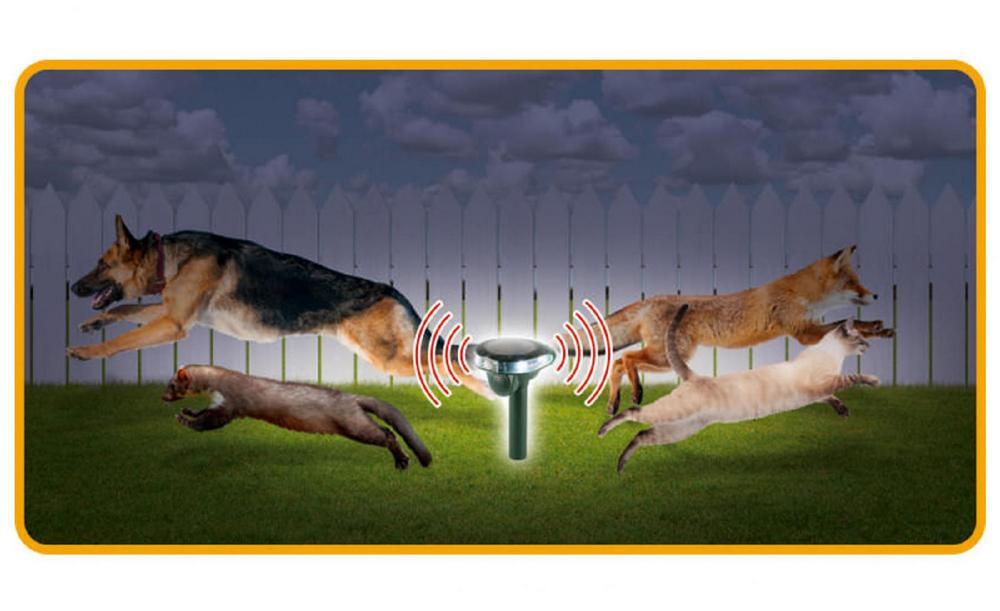 Ultrahangos macskariasztó LED stroboszkóppal