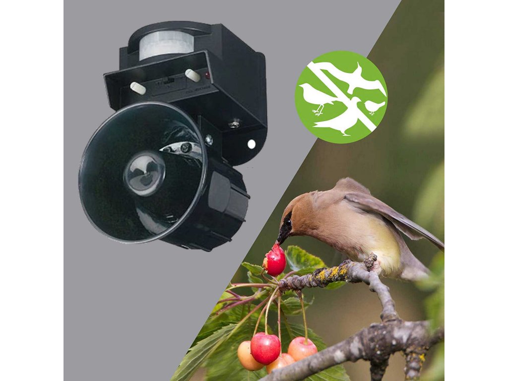 odstraszacz-ptaków-dźwiękowy