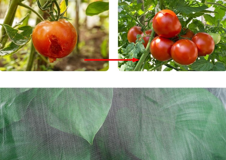 siatka ochronna ogrodowa