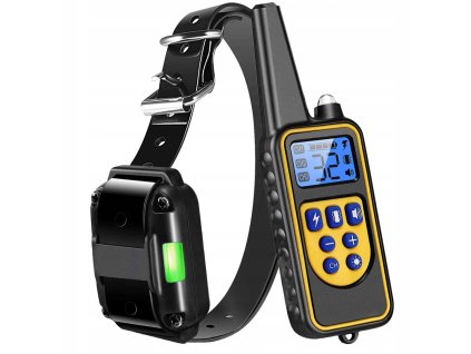 Specjalistyczny obroża treningowa dla psa