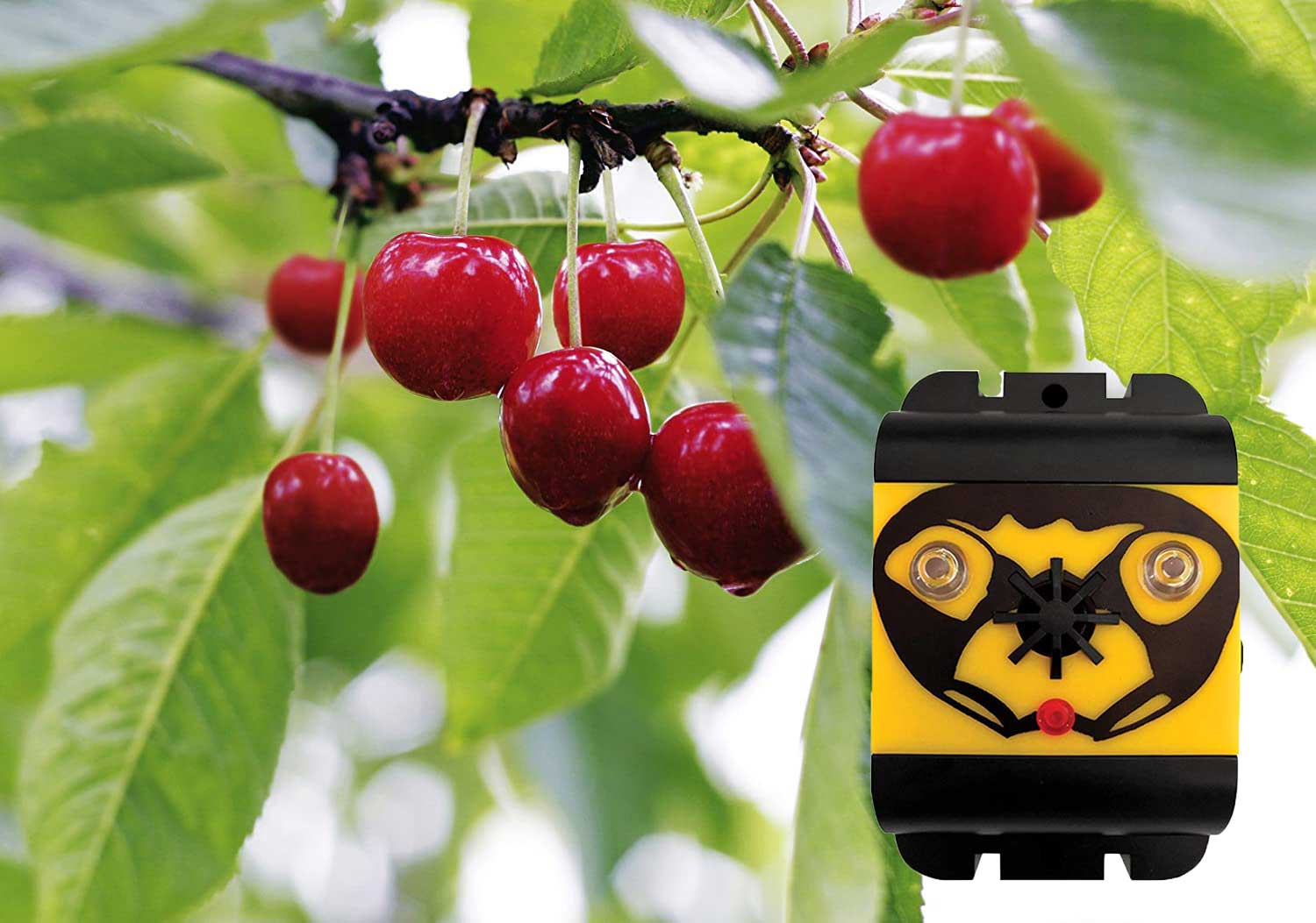Výkonný ultrazvukový odpudzovač vtákov s modrým svetlom