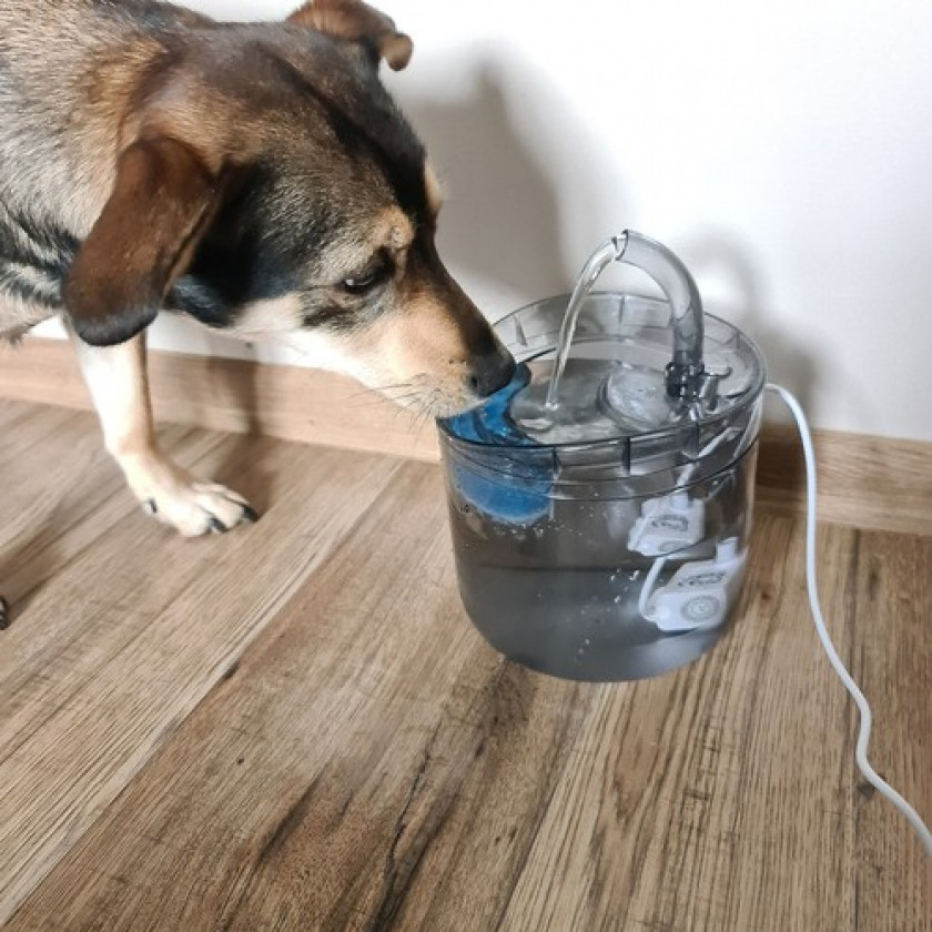 Praktická automatická fontána pre domáce zvieratá