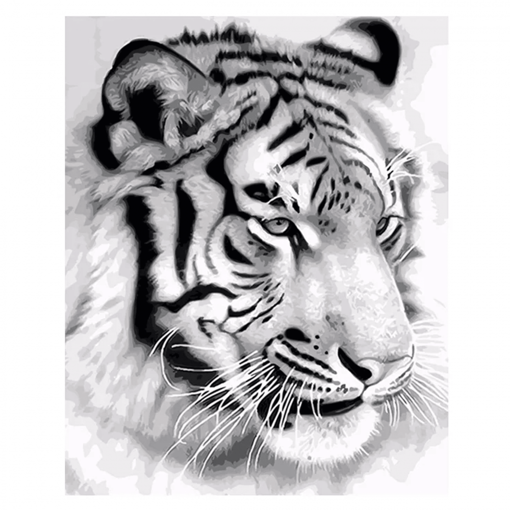 Kreatívne maľovanie podľa čísel - tyger