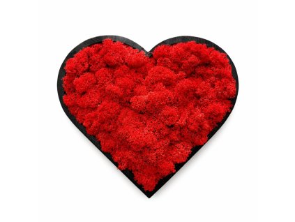 Mechový obraz - srdce