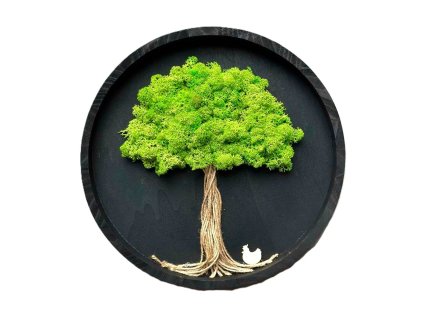 Mechový obraz – Strom v kruhu