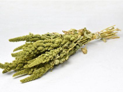 amaranthus green