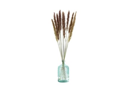 Sušené květiny Pampas – natural fialová