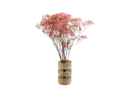 Stabilizované květiny Gypsophila – růžová