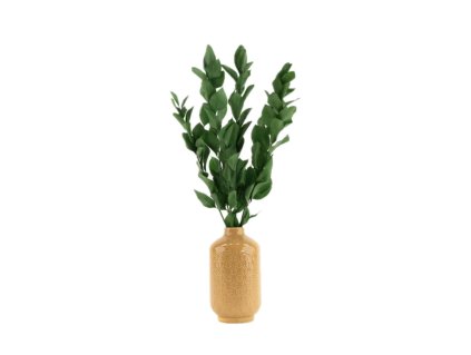 Stabilizované rostliny ruscus - zelená