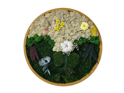 Mechový obraz - rostliny