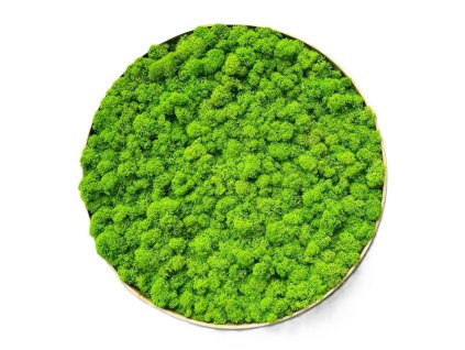 Mechový obraz – Kruh