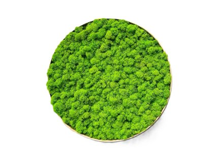 Mechový obraz – Kruh – Lišš