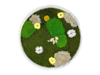 Mechový obraz – Kruh