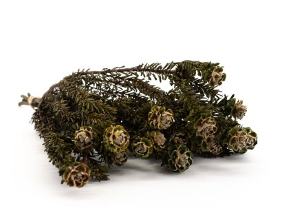 Stabilizovaná kytice Tortum – zelená