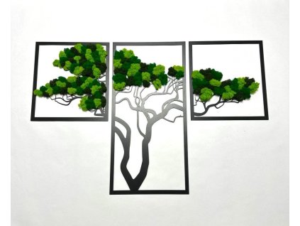 Mechový obraz - strom TRIO