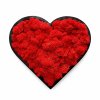 Mechový obraz - srdce