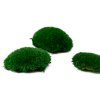 fire retardant preserved pole moss