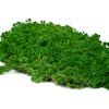 preserved sphagnum moss 5 cn