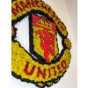 Mechové logo – Manchester United