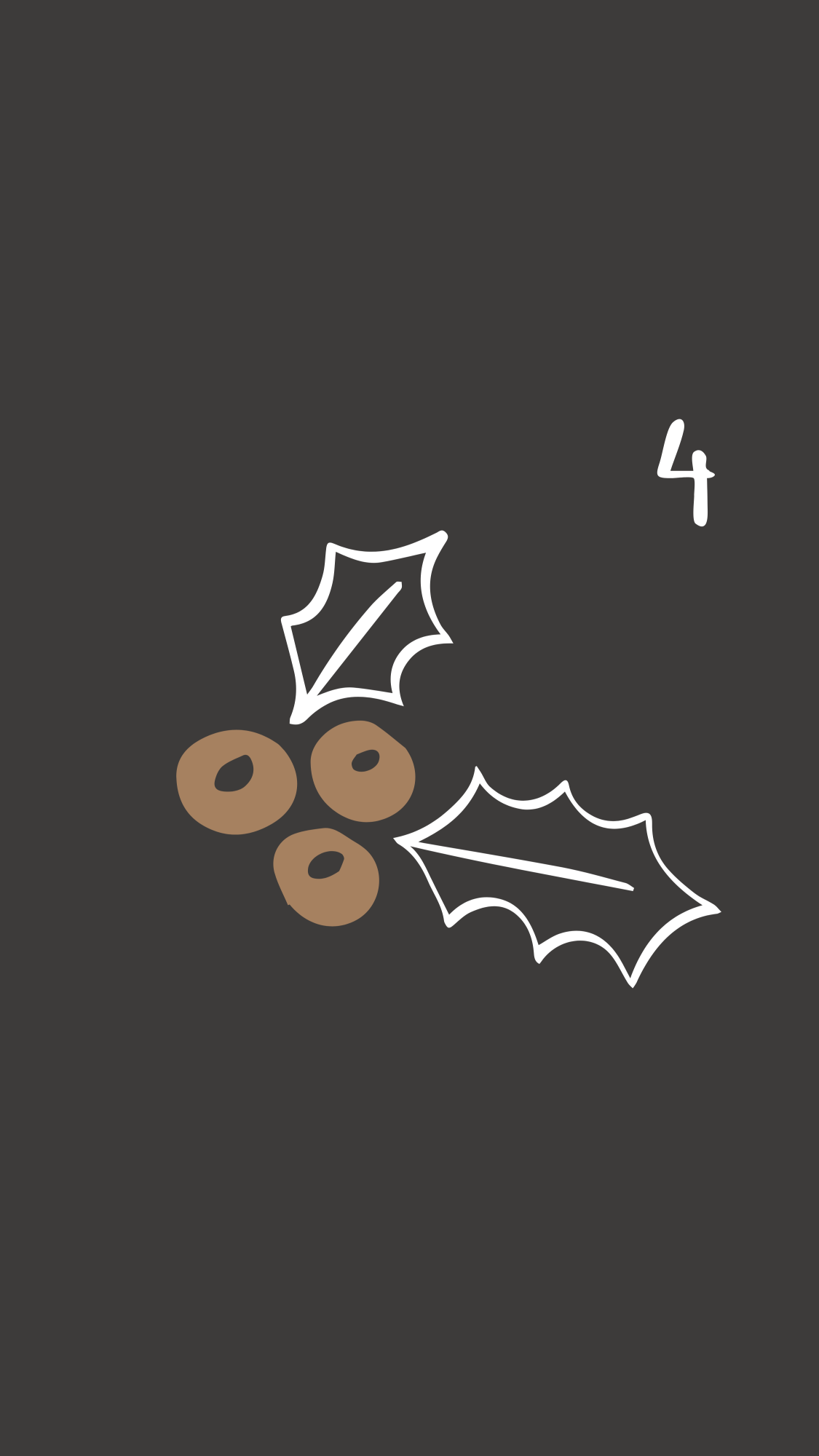 4.12. Vánoční deníček