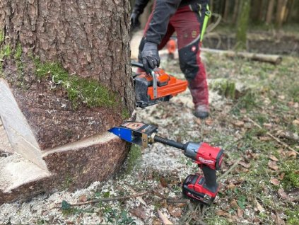 1c7e29d6 e03c 4cf9 97fd ddf3f9ff6493