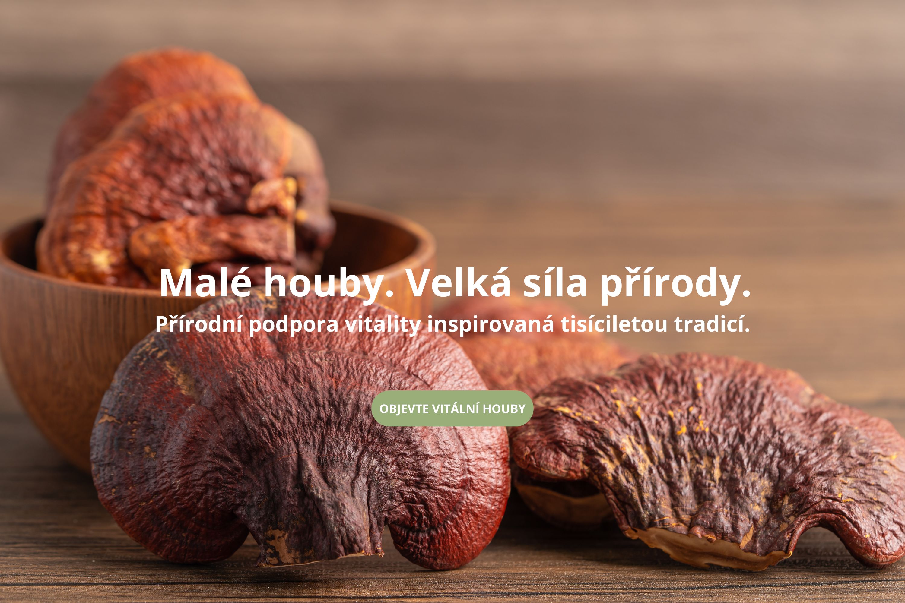 reishi vitální houba přírodní doplněk stravy