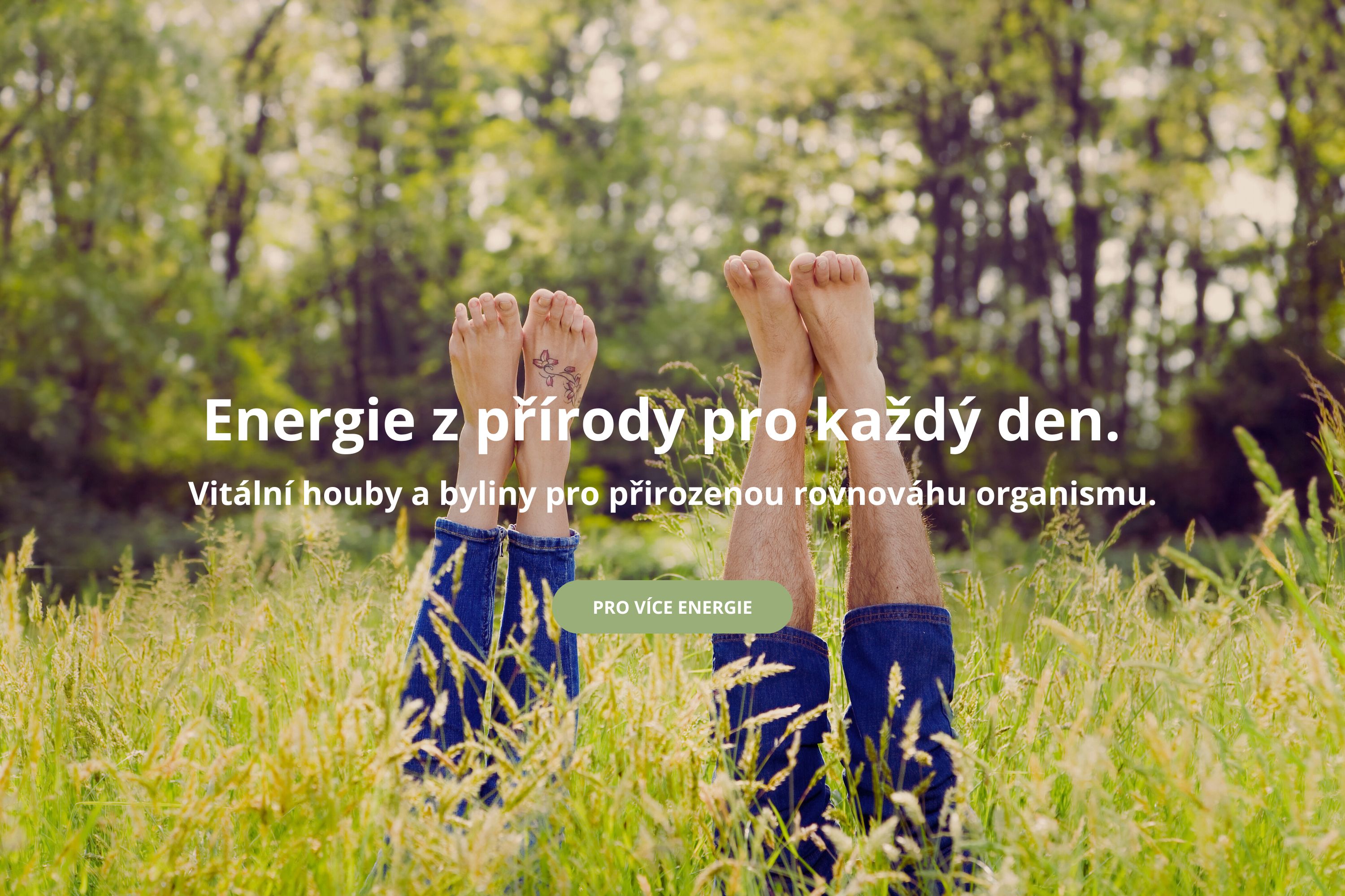 odpočinek v přírodě energie z přírody