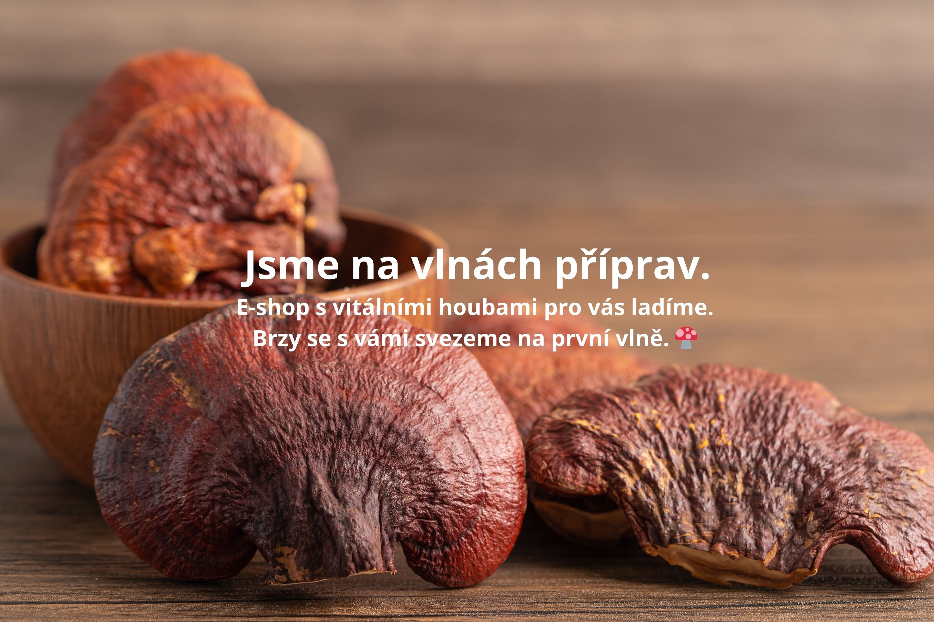 Na vlnách života. E-shop s vitálními houbami pro vás ladíme. Brzy se s vámi svezeme na první vlně. 🍄