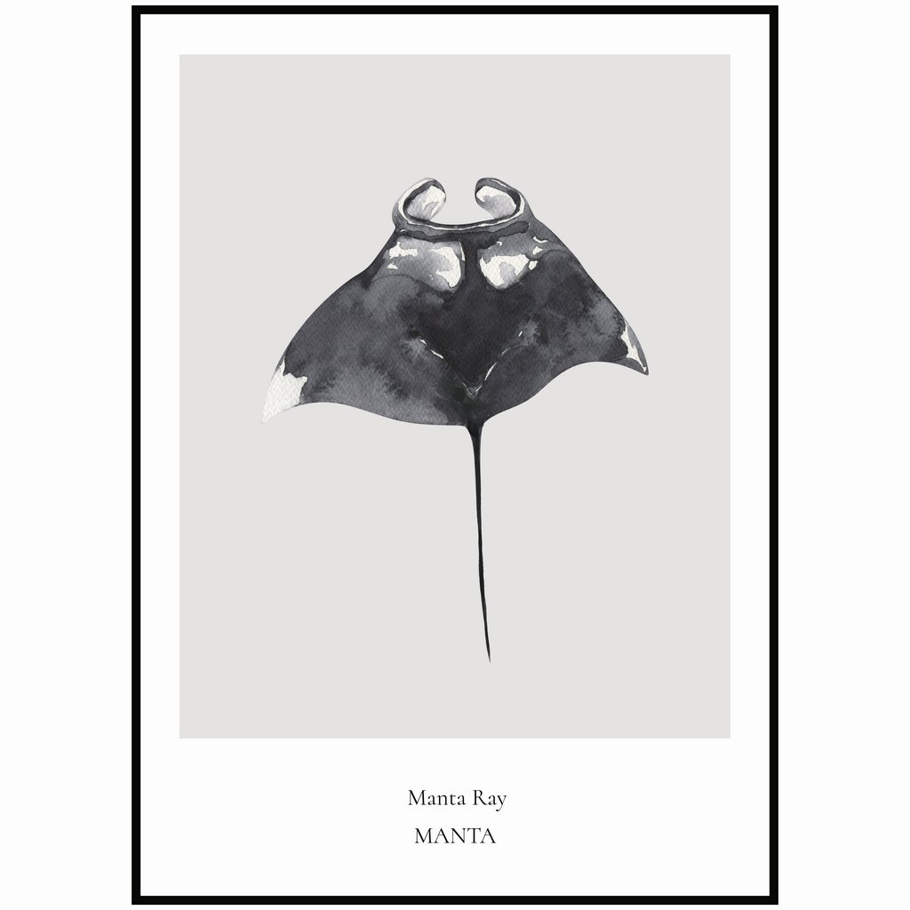 Plakát Manta Ray