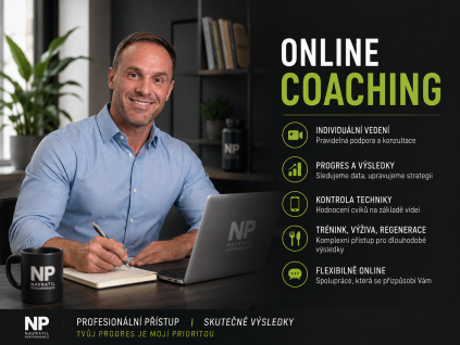 online coaching