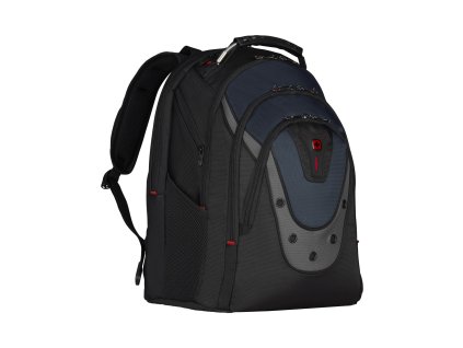 Wenger Ibex, 17"