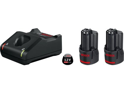 Bosch 2× GBA 12V 2,0Ah + GAL 12V-40 Professional (1.600.A01.9R8)