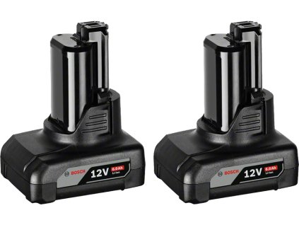 Bosch 2× GBA 12V 6,0 Ah Professional (1.600.A00.X7M)
