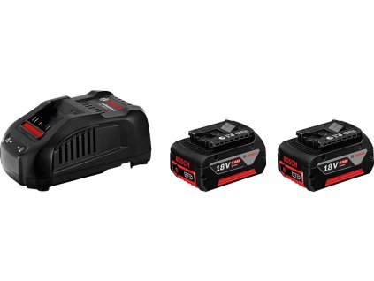Bosch 2× GBA 18V 5,0Ah + GAL 1880 CV Professional (1.600.A00.B8J)