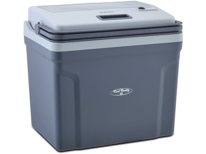 ROHNSON R-4025T Cool Buddy