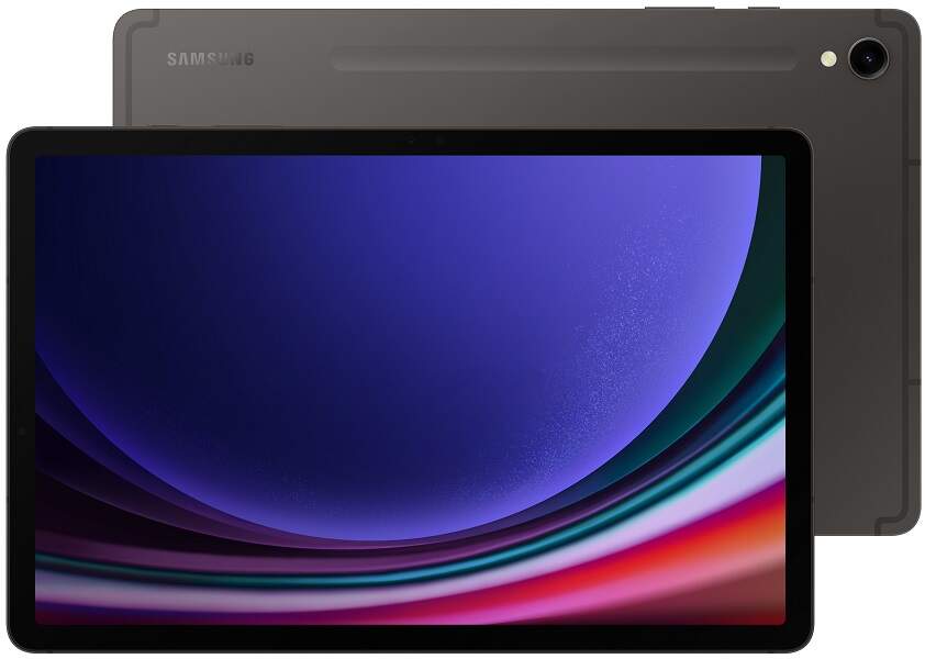 Samsung Galaxy Tab S9 Wi-Fi 256 GB Sivý