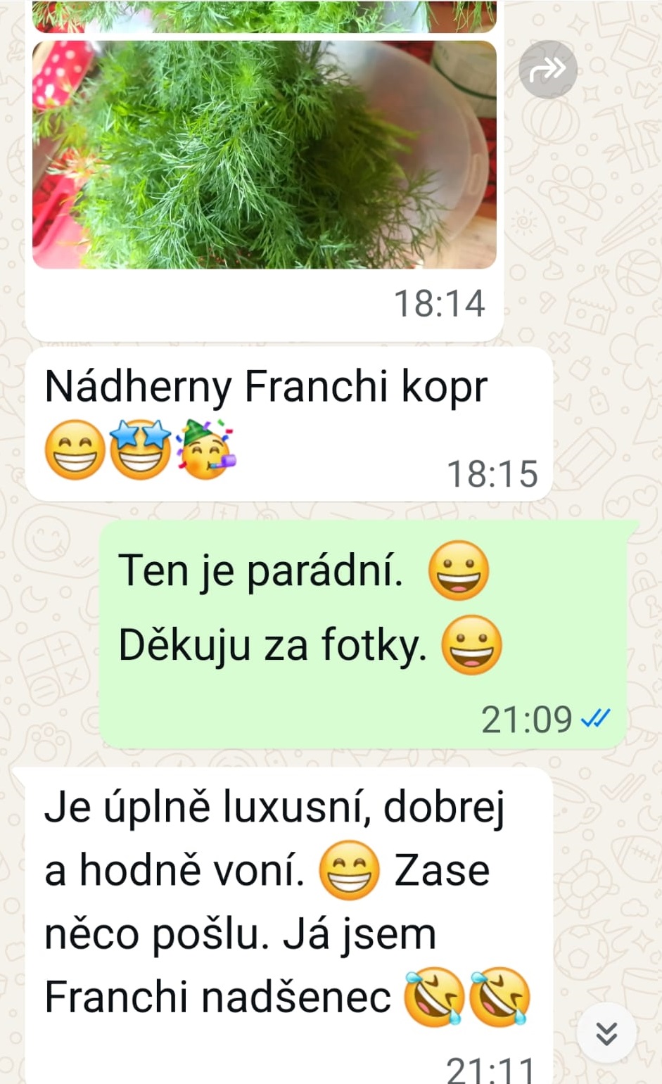 recenze2