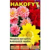 324 hakofyt b kvety2
